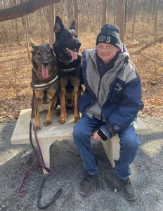 AKC German Shepherds for Sale NY